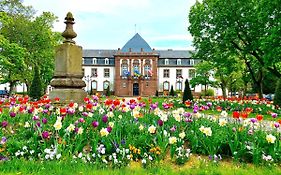 Charmant studio à Haguenau, à 25mn de Strasbourg